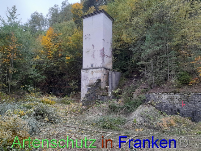 Bild zum Eintrag (1079180-160)