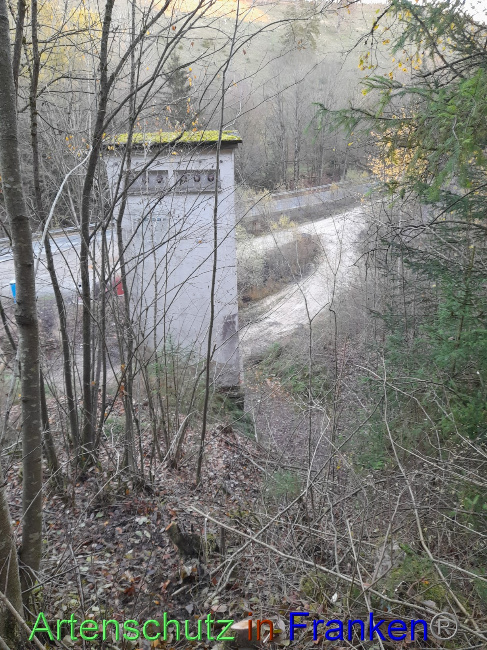 © Artenschutz in Franken® Bild zum Eintrag (1079194-160)