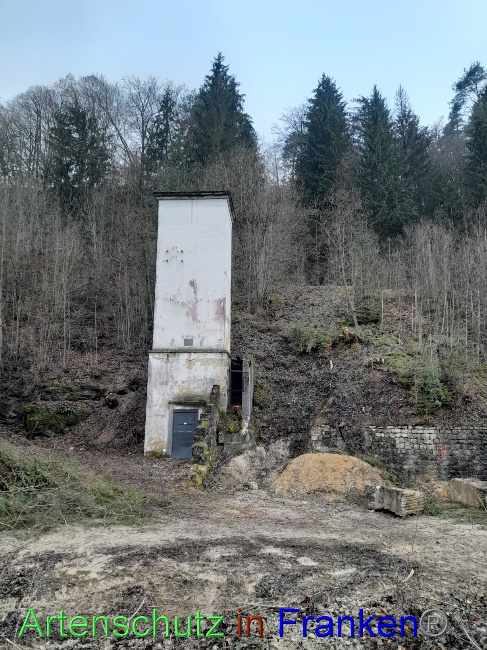 © Artenschutz in Franken® Bild zum Eintrag (1079196-160)