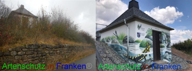 © Artenschutz in Franken® Bild zum Eintrag (1079637-160)