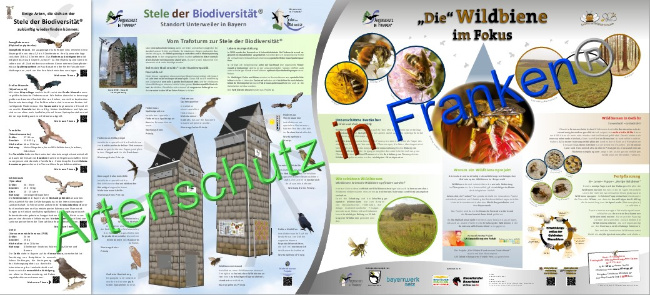 © Artenschutz in Franken® Bild zum Eintrag (1079746-160)