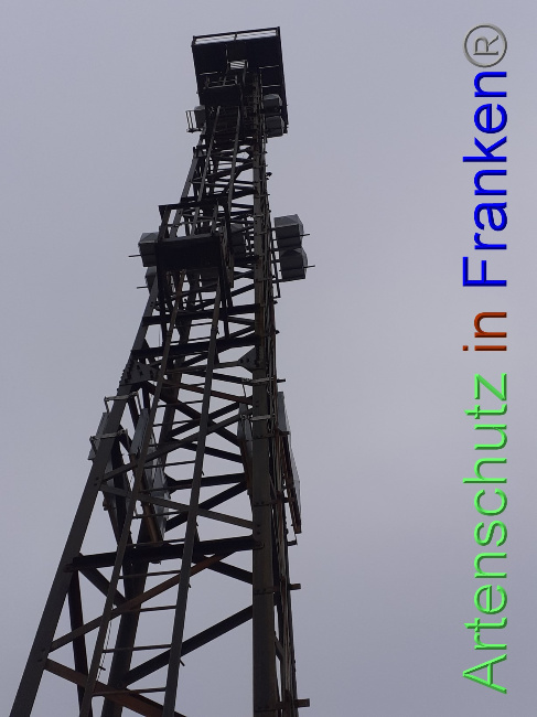 © Artenschutz in Franken® Bild zum Eintrag (1079830-160)