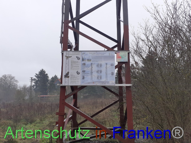 © Artenschutz in Franken® Bild zum Eintrag (1079838-160)