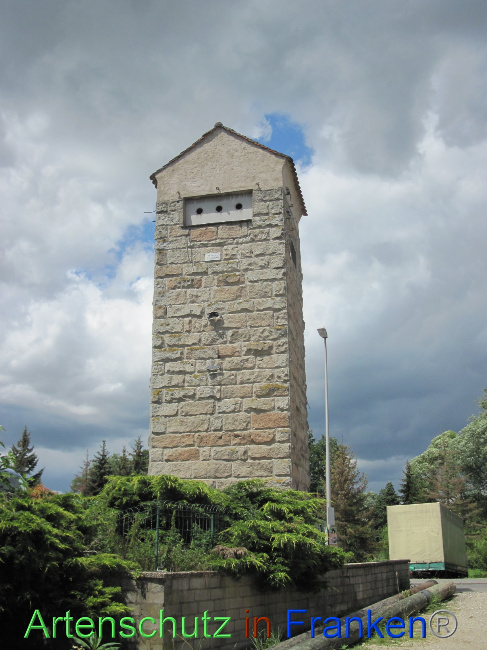 © Artenschutz in Franken® Bild zum Eintrag (1079999-160)