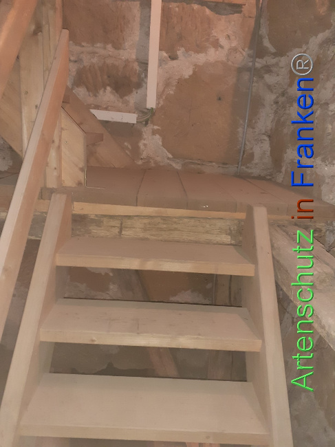© Artenschutz in Franken® Bild zum Eintrag (1080751-160)