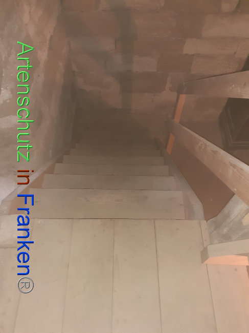 © Artenschutz in Franken® Bild zum Eintrag (1080752-160)