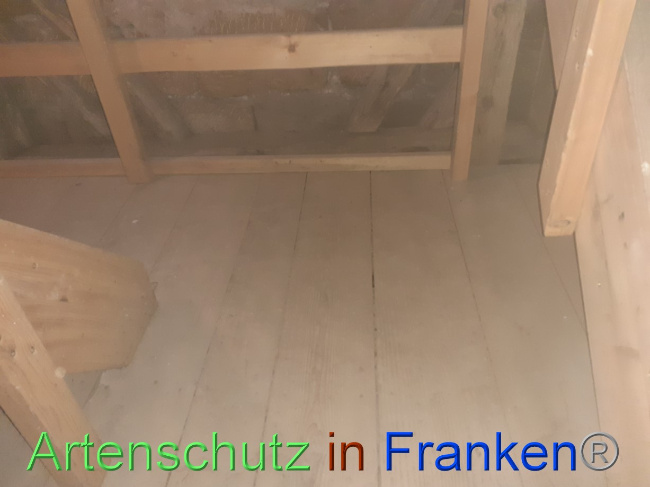 © Artenschutz in Franken® Bild zum Eintrag (1080753-160)