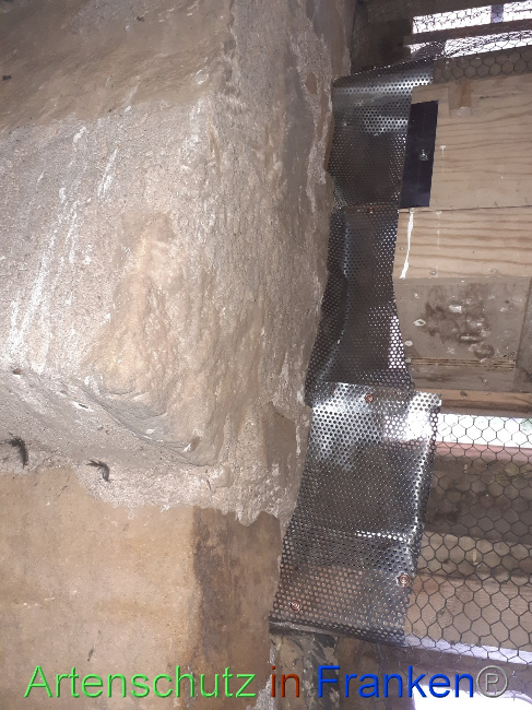 © Artenschutz in Franken® Bild zum Eintrag (1080756-160)