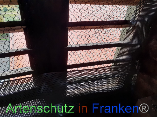 © Artenschutz in Franken® Bild zum Eintrag (1080757-160)