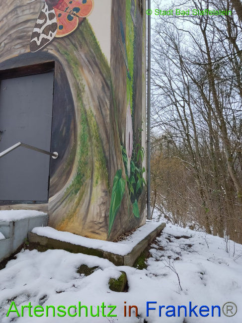 © Artenschutz in Franken® / Bad Staffelstein Bild zum Eintrag (1081392-160)