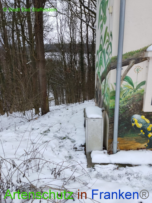 © Artenschutz in Franken® Bild zum Eintrag (1081394-160)