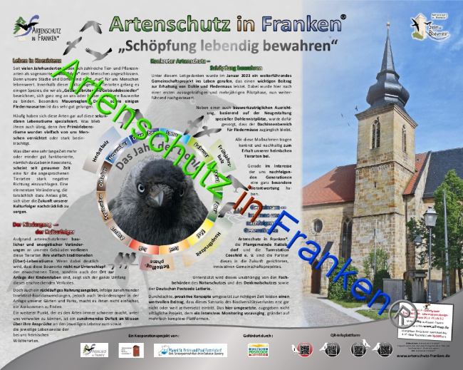 © Artenschutz in Franken® Bild zum Eintrag (1081687-160)