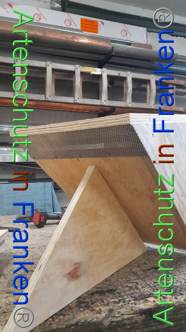 © Artenschutz in Franken® Bild zum Eintrag (1081840-160)