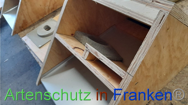 © Artenschutz in Franken® Bild zum Eintrag (1081841-160)