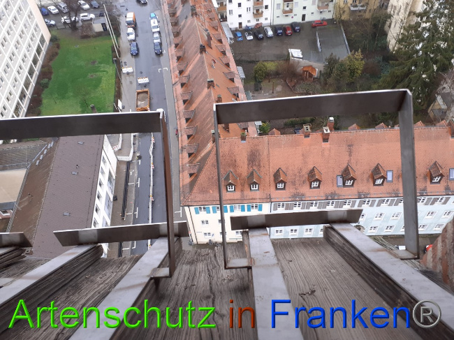 © Artenschutz in Franken® Bild zum Eintrag (1081844-160)