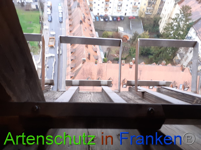 © Artenschutz in Franken® Bild zum Eintrag (1081845-160)