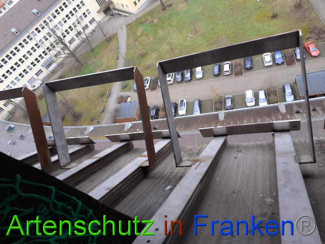 © Artenschutz in Franken® Bild zum Eintrag (1081848-160)