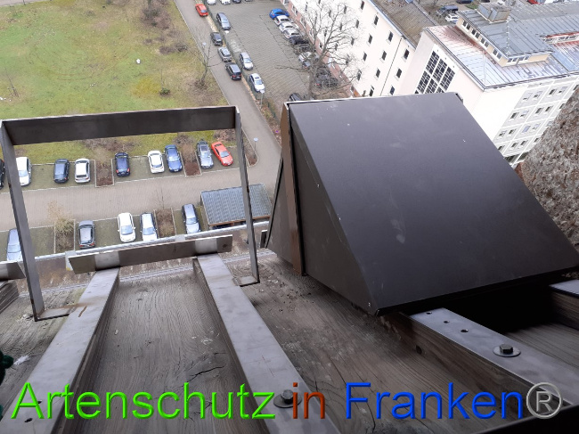 © Artenschutz in Franken® Bild zum Eintrag (1081867-160)