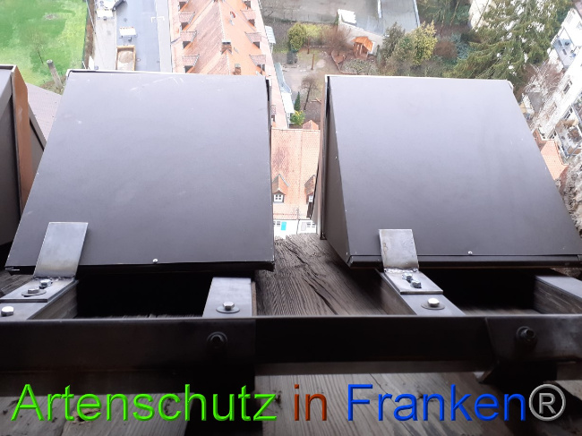 © Artenschutz in Franken® Bild zum Eintrag (1081874-160)