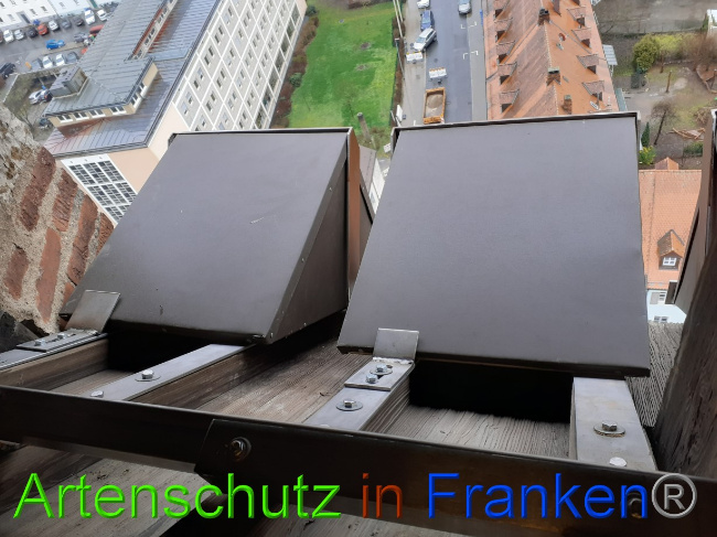 © Artenschutz in Franken® Bild zum Eintrag (1081875-160)