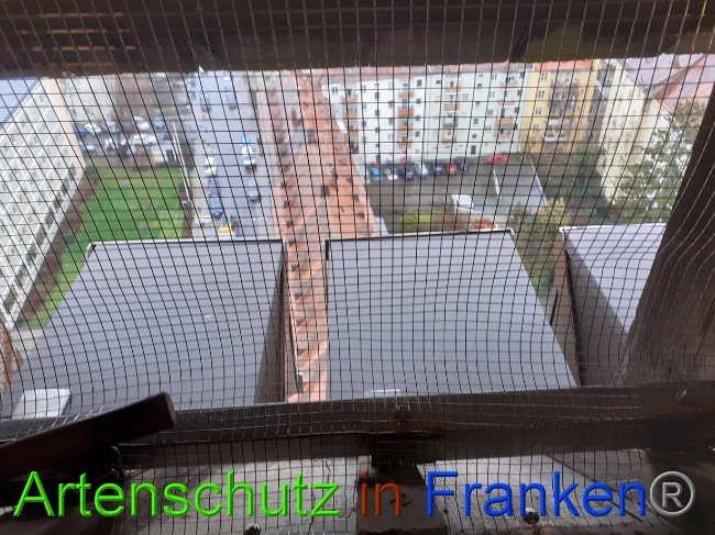 © Artenschutz in Franken® Bild zum Eintrag (1081876-160)