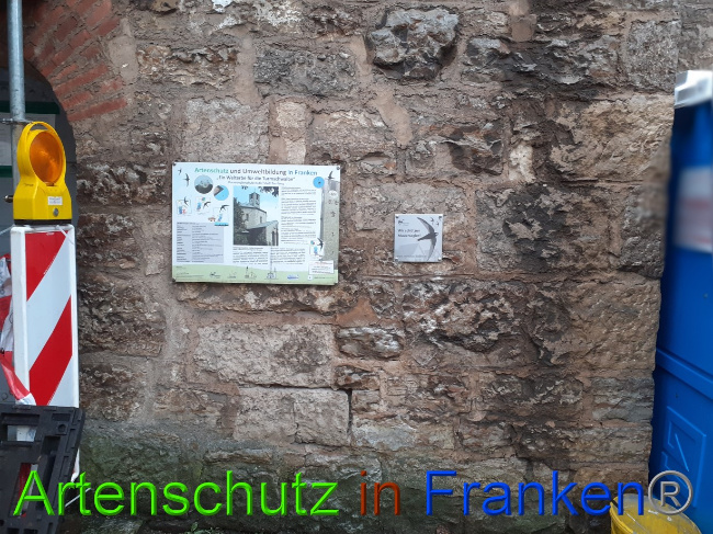 © Artenschutz in Franken® Bild zum Eintrag (1081881-160)