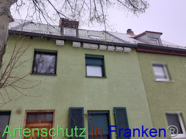 © Artenschutz in Franken® Bild zum Eintrag (1082086-160)