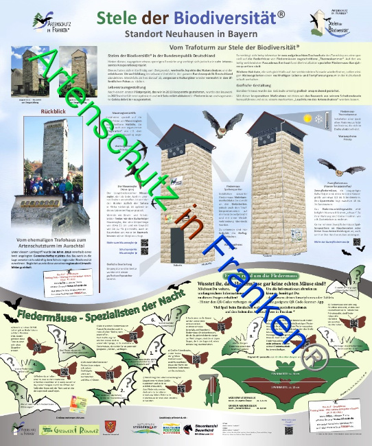 © Artenschutz in Franken® Bild zum Eintrag (1082139-160)