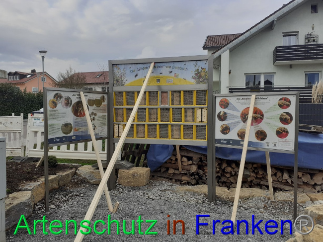 © Artenschutz in Franken® Bild zum Eintrag (1082504-160)