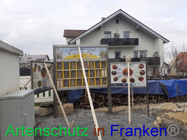 © Artenschutz in Franken® Bild zum Eintrag (1082505-160)