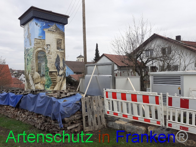 © Artenschutz in Franken® Bild zum Eintrag (1082517-160)