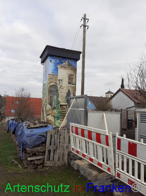 © Artenschutz in Franken® Bild zum Eintrag (1082518-160)
