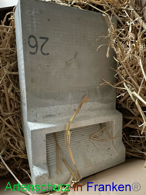 © Artenschutz in Franken® Bild zum Eintrag (1082549-160)