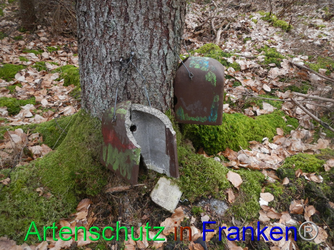 © Artenschutz in Franken® Bild zum Eintrag (1082602-160)