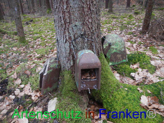 © Artenschutz in Franken® Bild zum Eintrag (1082603-160)