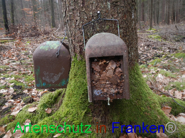 © Artenschutz in Franken® Bild zum Eintrag (1082604-160)