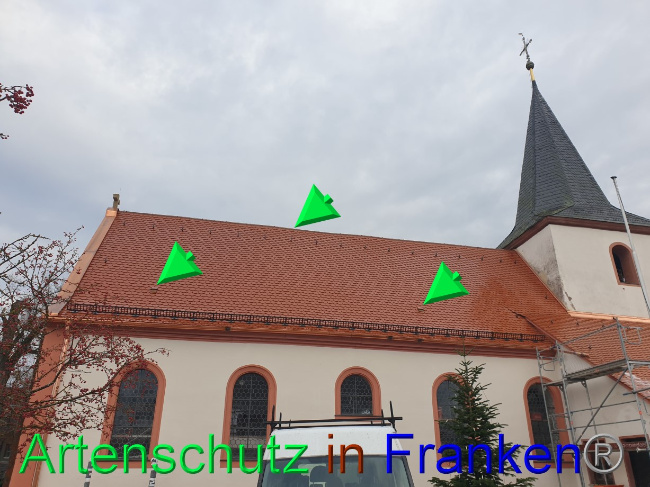 © Artenschutz in Franken® Bild zum Eintrag (1082615-160)