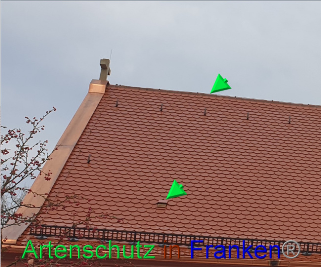© Artenschutz in Franken® Bild zum Eintrag (1082616-160)