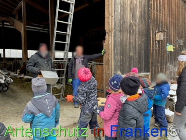 © Artenschutz in Franken® Bild zum Eintrag (1082911-160)