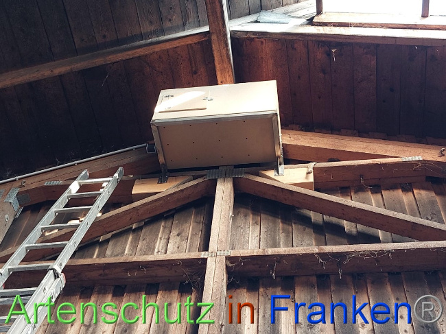 © Artenschutz in Franken® Bild zum Eintrag (1082936-160)