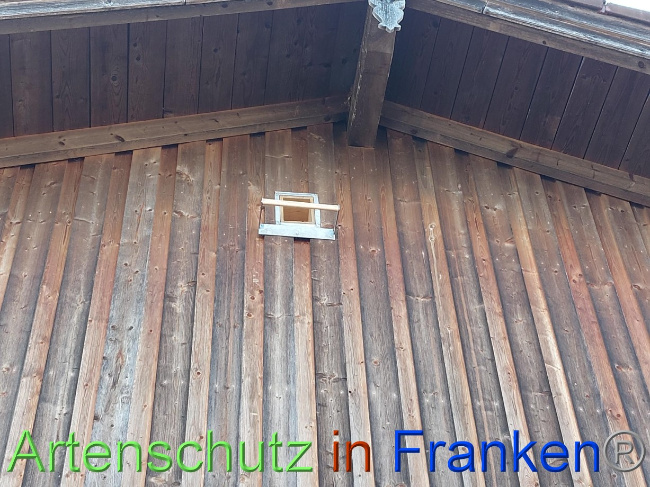© Artenschutz in Franken® Bild zum Eintrag (1082937-160)