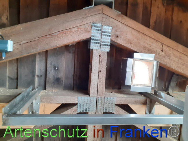 © Artenschutz in Franken® Bild zum Eintrag (1082947-160)