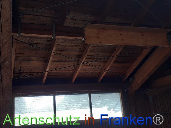 © Artenschutz in Franken® Bild zum Eintrag (1082951-160)