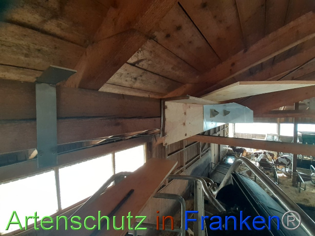 © Artenschutz in Franken® Bild zum Eintrag (1082952-160)