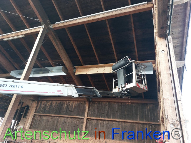 © Artenschutz in Franken® Bild zum Eintrag (1082953-160)