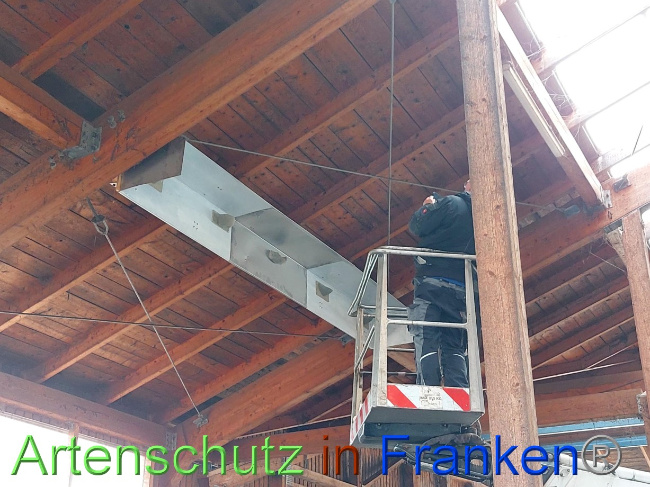 © Artenschutz in Franken® Bild zum Eintrag (1082955-160)