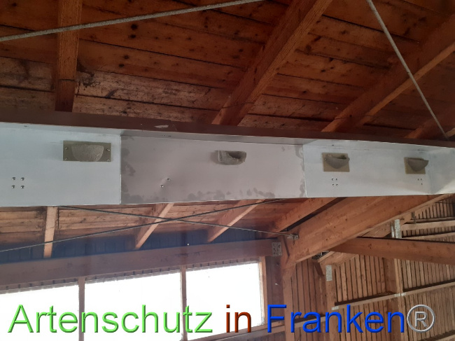 © Artenschutz in Franken® Bild zum Eintrag (1082956-160)