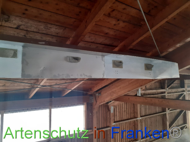 © Artenschutz in Franken® Bild zum Eintrag (1082957-160)