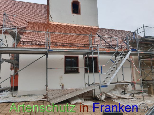 Bild zum Eintrag (1083118-160)