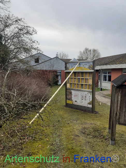 © Artenschutz in Franken® Bild zum Eintrag (1083416-160)